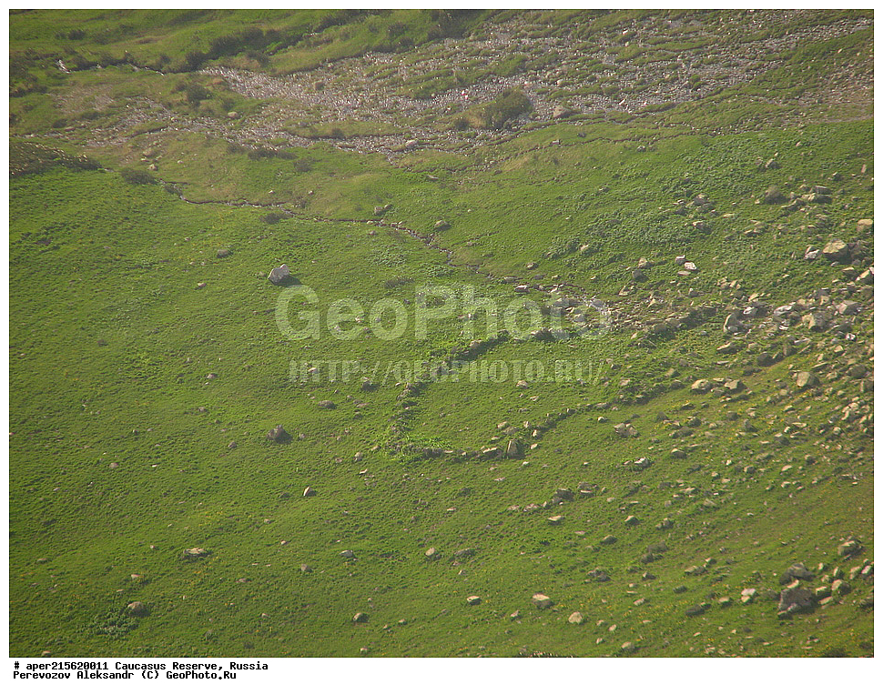 ������������� ����, ���������� ������, ���������-���������� ����������, ������, ���, ������, �������� ������, ���������� ��������������� ����������, ���������� ��������������� ��������� ���������� ���������� ����� �. �. �����������, �������, ���������, �����