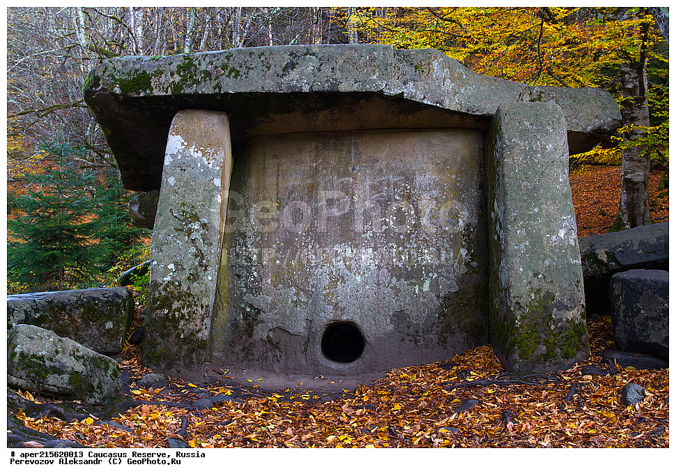 ������������� ����, ���������� ������, ���������-���������� ����������, ������, ���, ������, �������� ������, ���������� ��������������� ����������, ���������� ��������������� ��������� ���������� ���������� ����� �. �. �����������, �������, ���������, �����