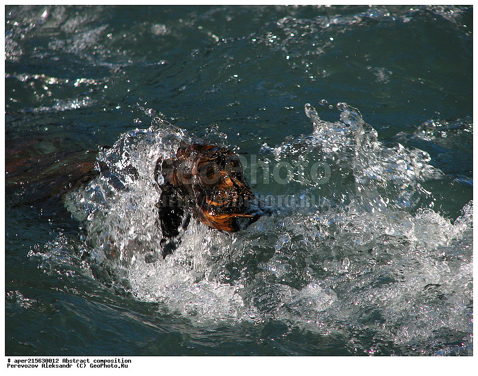 ���, �������, ���������, ��������� �������, �����������, ����������