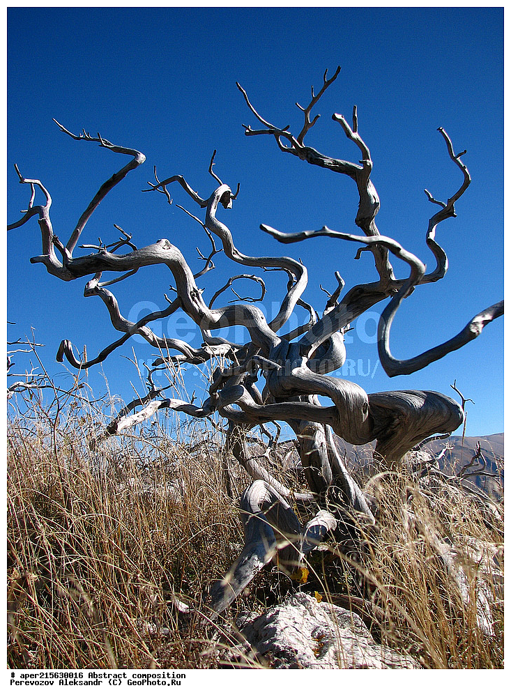 ���, �������, ���������, ��������� �������, �����������, ����������