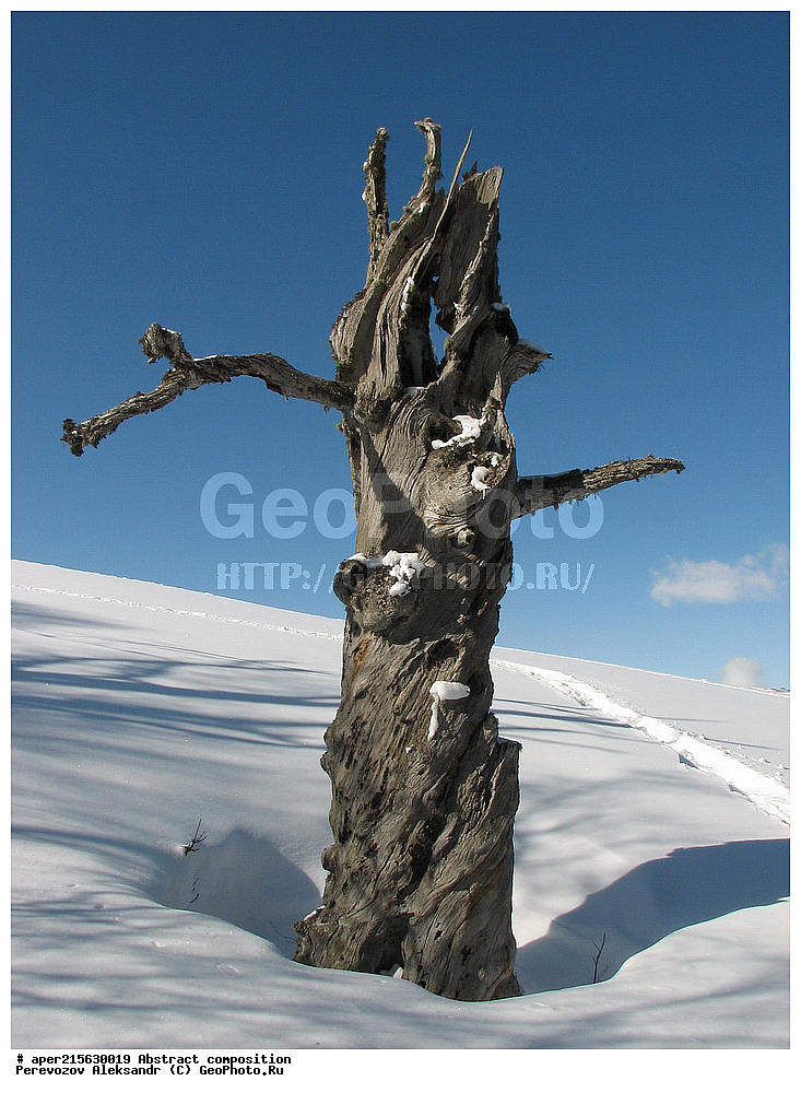 ���, �������, ���������, ��������� �������, �����������, ����������