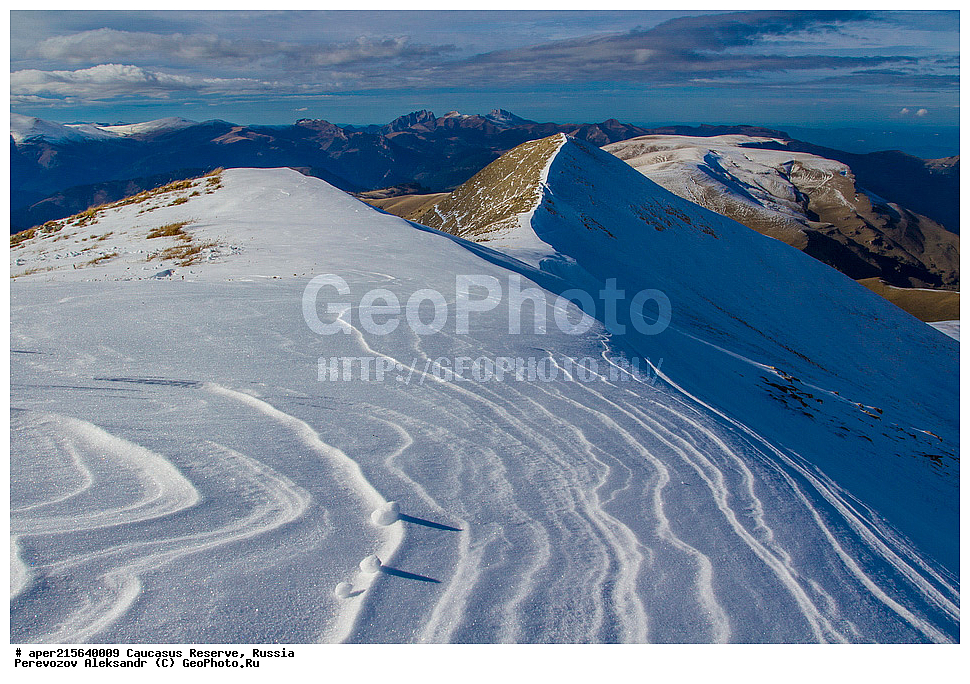  ������������� ����, ���������� ������, ���������-���������� ����������, ������, ���, ������, �������� ������, ���������� ��������������� ����������, ���������� ��������������� ��������� ���������� ���������� ����� �. �. �����������, ������� �����, ����