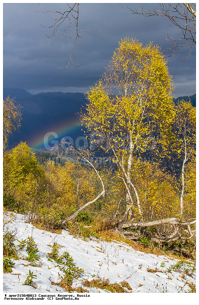 ������������� ����, ���������� ������, ���������-���������� ����������, ������, ���, ������, �������� ������, ���������� ��������������� ����������, ���������� ��������������� ��������� ���������� ���������� ����� �. �. �����������, ������