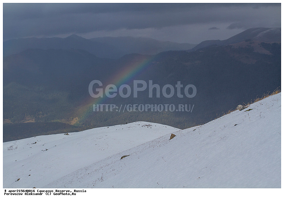 ������������� ����, ���������� ������, ���������-���������� ����������, ������, ���, ������, �������� ������, ���������� ��������������� ����������, ���������� ��������������� ��������� ���������� ���������� ����� �. �. �����������, ������