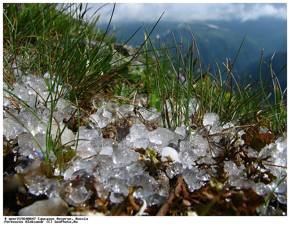 ������������� ����, ���������� ������, ���������-���������� ����������, ������, ���, ������, �������� ������, ���������� ��������������� ����������, ���������� ��������������� ��������� ���������� ���������� ����� �. �. �����������, ����