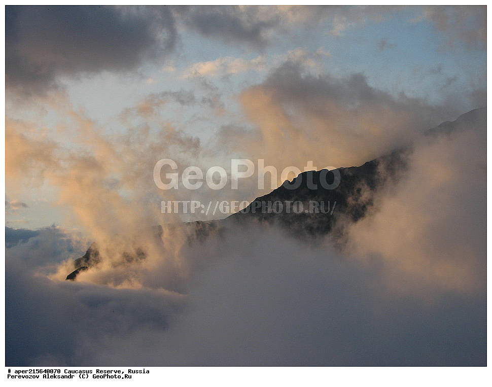 ������������� ����, ���������� ������, ���������-���������� ����������, ������, ���, ������, �������� ������, ���������� ��������������� ����������, ���������� ��������������� ��������� ���������� ���������� ����� �. �. �����������, ��������� ������, ����, �����, ����