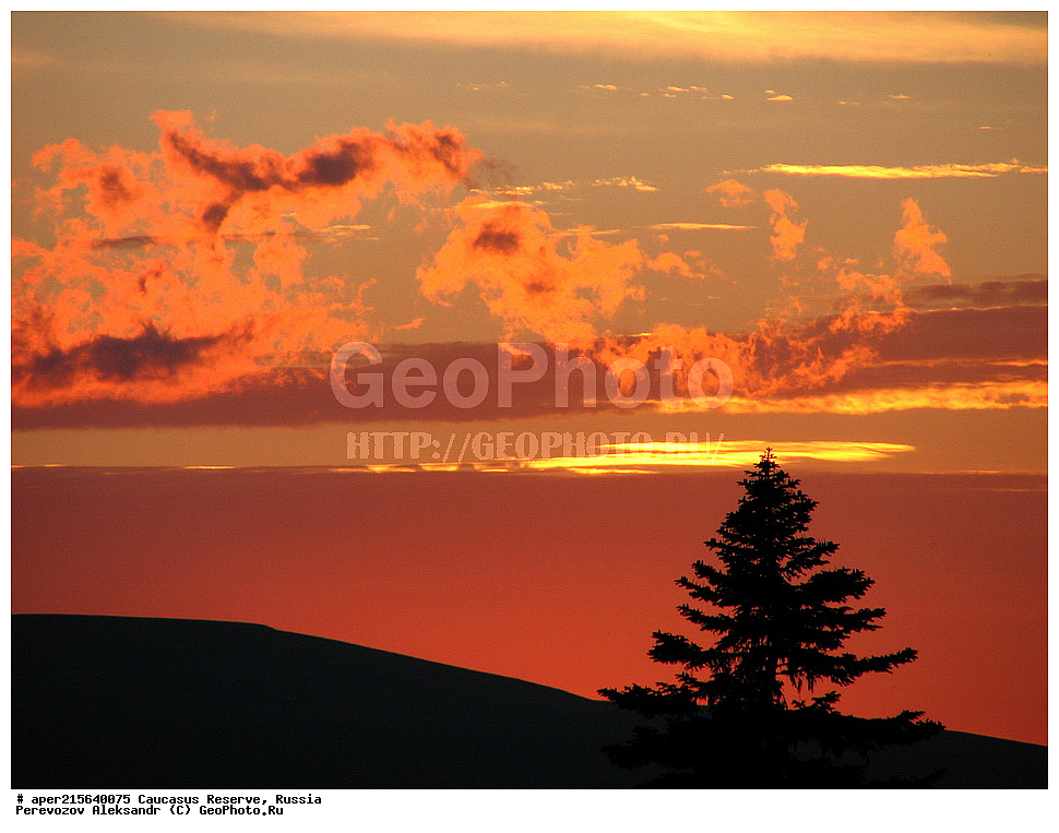 ������������� ����, ���������� ������, ���������-���������� ����������, ������, ���, ������, �������� ������, ���������� ��������������� ����������, ���������� ��������������� ��������� ���������� ���������� ����� �. �. �����������, ��������� ������, ����, �����, ����