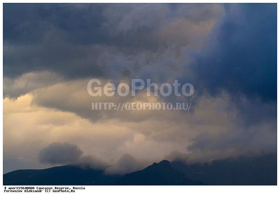 ������������� ����, ���������� ������, ���������-���������� ����������, ������, ���, ������, �������� ������, ���������� ��������������� ����������, ���������� ��������������� ��������� ���������� ���������� ����� �. �. �����������, ��������� ������, ����, �����, ����