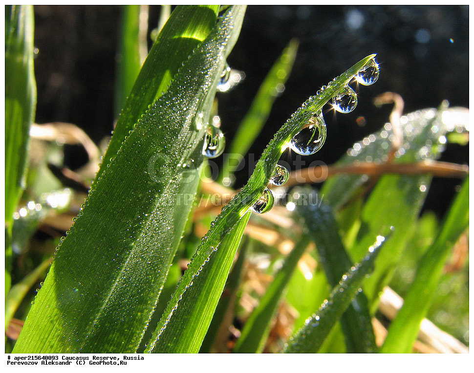 ������������� ����, ���������� ������, ���������-���������� ����������, ������, ���, ������, �������� ������, ���������� ��������������� ����������, ���������� ��������������� ��������� ���������� ���������� ����� �. �. �����������, �����, ����