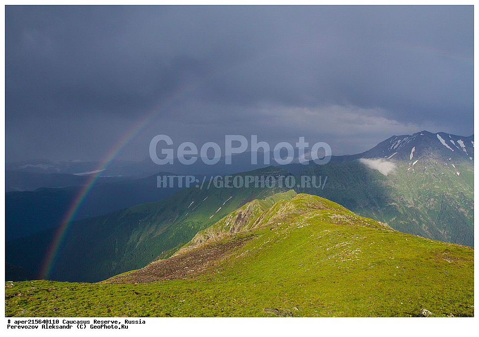 ������������� ����, ���������� ������, ���������-���������� ����������, ������, ���, ������, �������� ������, ���������� ��������������� ����������, ���������� ��������������� ��������� ���������� ���������� ����� �. �. �����������, ������