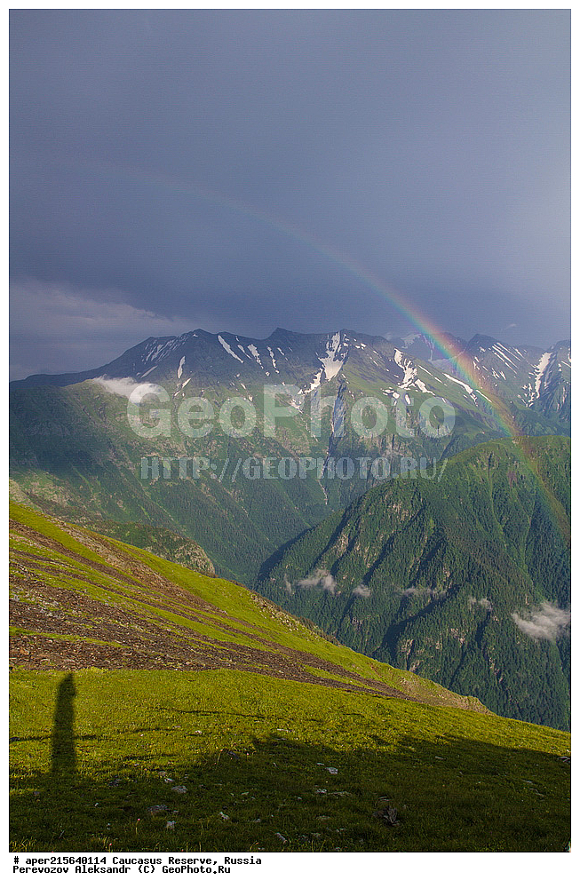 ������������� ����, ���������� ������, ���������-���������� ����������, ������, ���, ������, �������� ������, ���������� ��������������� ����������, ���������� ��������������� ��������� ���������� ���������� ����� �. �. �����������, ������