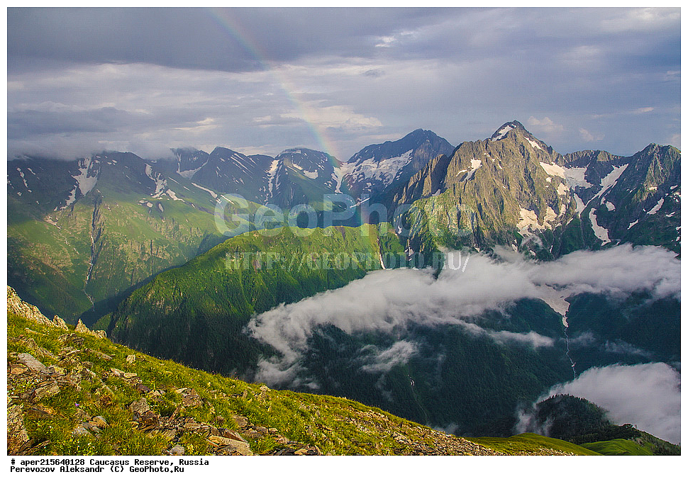 ������������� ����, ���������� ������, ���������-���������� ����������, ������, ���, ������, �������� ������, ���������� ��������������� ����������, ���������� ��������������� ��������� ���������� ���������� ����� �. �. �����������, ������