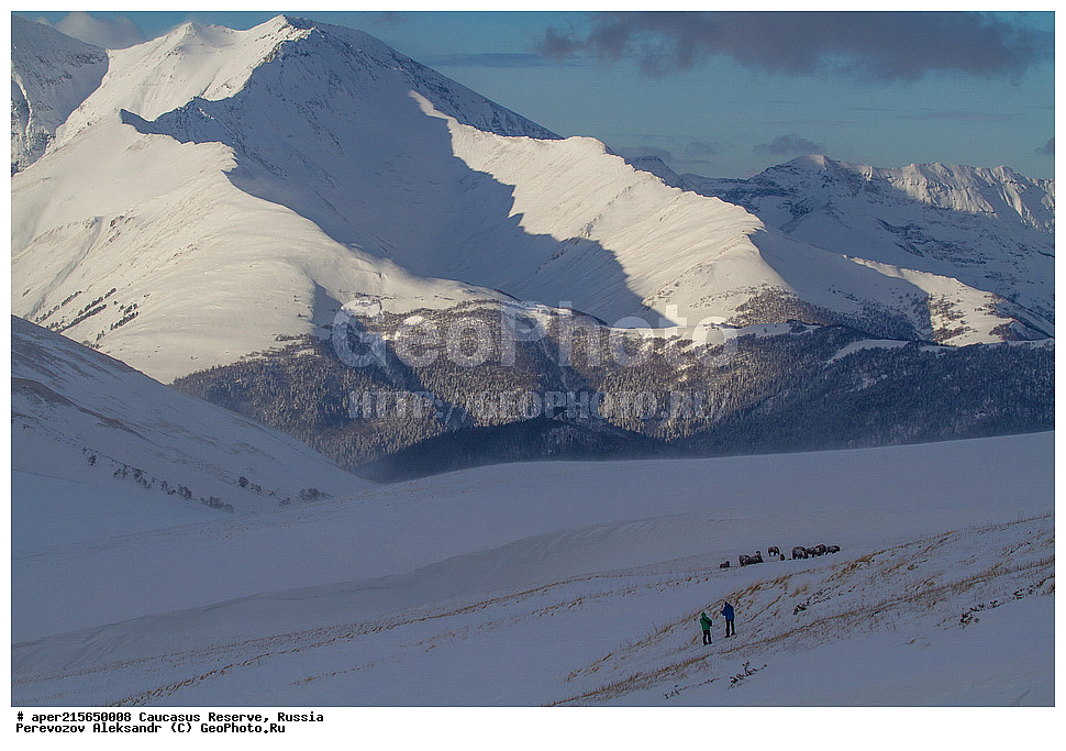 ������������� ����, ���������� ������, ���������-���������� ����������, ������, ���, ������, �������� ������, ������, ���������� ��������������� ����������, ���������� ��������������� ��������� ���������� ���������� ����� �. �. �����������, ����, ������, ��������������, ������, �������� ����, ������� ������, ����������� �����������