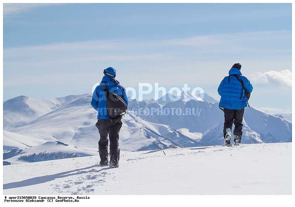 ������������� ����, ���������� ������, ���������-���������� ����������, ������, ���, ������, �������� ������, ������, ���������� ��������������� ����������, ���������� ��������������� ��������� ���������� ���������� ����� �. �. �����������, ����, ������, ��������������, ������, �������� ����, ������� ������, ����������� �����������