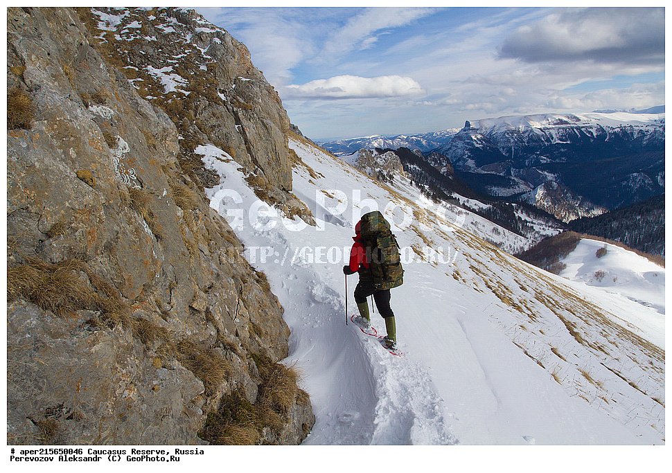 ������������� ����, ���������� ������, ���������-���������� ����������, ������, ���, ������, �������� ������, ������, ���������� ��������������� ����������, ���������� ��������������� ��������� ���������� ���������� ����� �. �. �����������, ����, ������, ��������������, ������, �������� ����, ������� ������, ����������� �����������