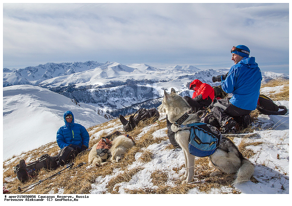 ������������� ����, ���������� ������, ���������-���������� ����������, ������, ���, ������, �������� ������, ������, ���������� ��������������� ����������, ���������� ��������������� ��������� ���������� ���������� ����� �. �. �����������, ����, ������, ��������������, ������, �������� ����, ������� ������, ����������� �����������