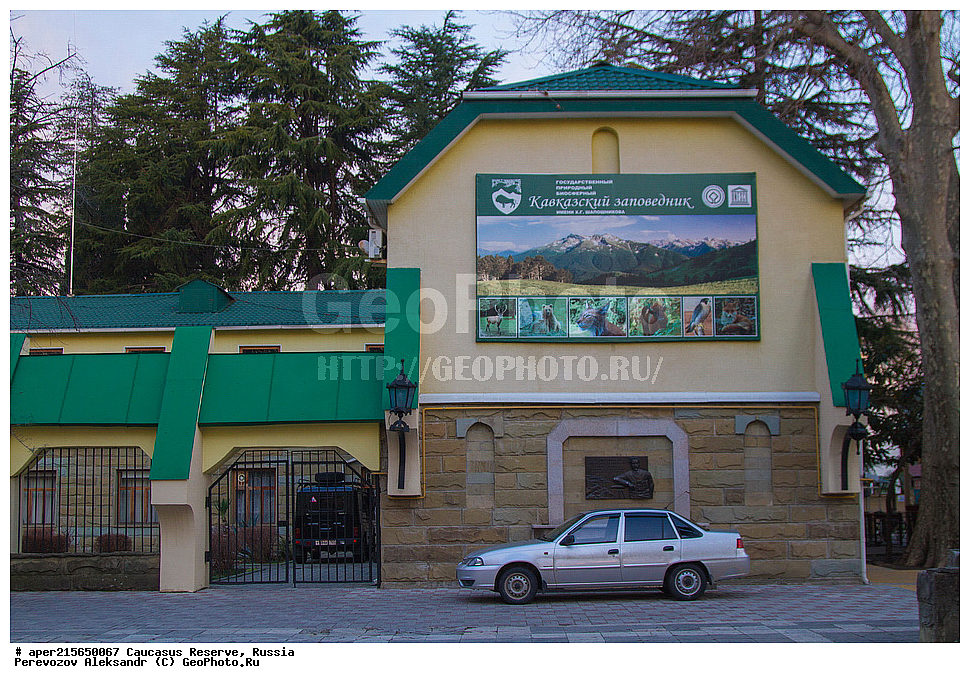 ������������� ����, ���������� ������, ���������-���������� ����������, ������, ���, ������, �������� ������, ������, ���������� ��������������� ����������, ���������� ��������������� ��������� ���������� ���������� ����� �. �. �����������, �������, �����