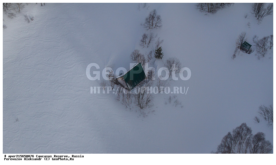 ������������� ����, ���������� ������, ���������-���������� ����������, ������, ���, ������, �������� ������, ������, ���������� ��������������� ����������, ���������� ��������������� ��������� ���������� ���������� ����� �. �. �����������, ����, ������, ��������������, ������, ��������, ��������