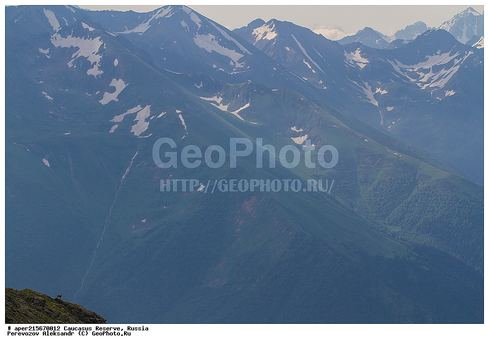 ������������� ����, ���������� ������, ���������-���������� ����������, ������, ���, ������, �������� ������, ������, ���������� ��������������� ����������, ���������� ��������������� ��������� ���������� ���������� ����� �. �. �����������, ���� �����, �������� ������, ���, ����