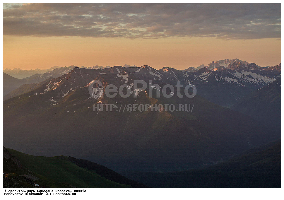 ������������� ����, ���������� ������, ���������-���������� ����������, ������, ���, ������, �������� ������, ������, ���������� ��������������� ����������, ���������� ��������������� ��������� ���������� ���������� ����� �. �. �����������, ���� �����, �������� ������, ���, ����