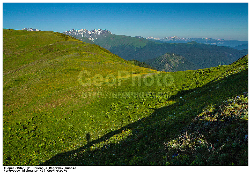 ������������� ����, ���������� ������, ���������-���������� ����������, ������, ���, ������, �������� ������, ������, ���������� ��������������� ����������, ���������� ��������������� ��������� ���������� ���������� ����� �. �. �����������, ���� �����, ��������, �������� ������, ���, ����