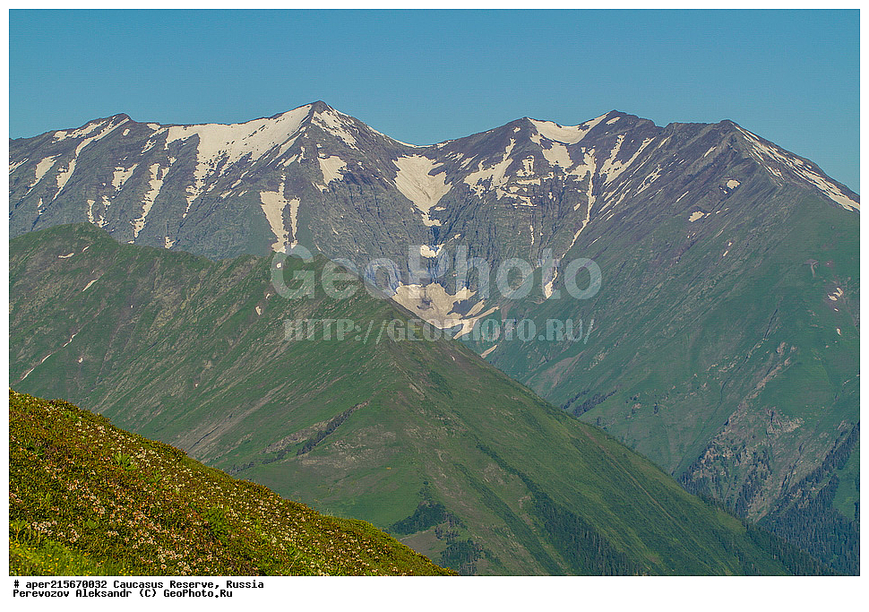 ������������� ����, ���������� ������, ���������-���������� ����������, ������, ���, ������, �������� ������, ������, ���������� ��������������� ����������, ���������� ��������������� ��������� ���������� ���������� ����� �. �. �����������, ���� �����, ��������, �������� ������, ���, ����