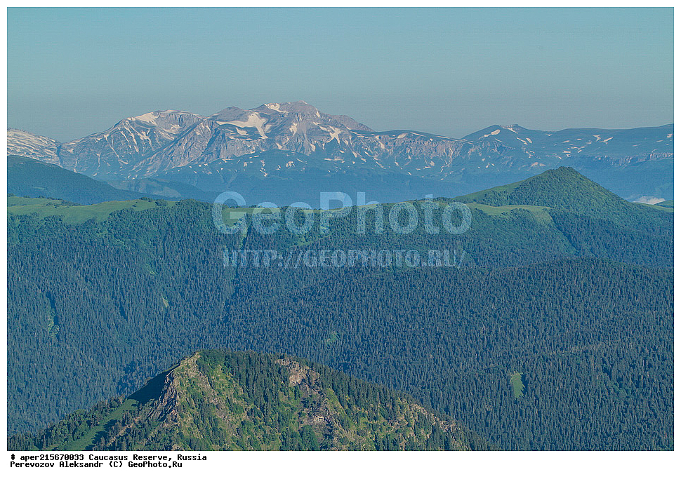 ������������� ����, ���������� ������, ���������-���������� ����������, ������, ���, ������, �������� ������, ������, ���������� ��������������� ����������, ���������� ��������������� ��������� ���������� ���������� ����� �. �. �����������, ����, �����. �����, �������� ������, ���, ����