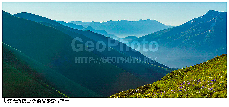 ������������� ����, ���������� ������, ���������-���������� ����������, ������, ���, ������, �������� ������, ������, ���������� ��������������� ����������, ���������� ��������������� ��������� ���������� ���������� ����� �. �. �����������, ���� �����, �������� ������, ���, ����