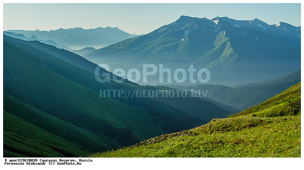 ������������� ����, ���������� ������, ���������-���������� ����������, ������, ���, ������, �������� ������, ������, ���������� ��������������� ����������, ���������� ��������������� ��������� ���������� ���������� ����� �. �. �����������, ���� �����, �������� ������, ���, ����