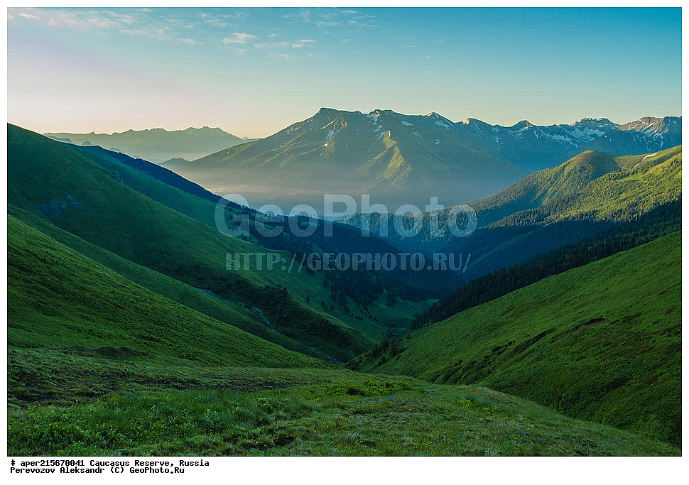 ������������� ����, ���������� ������, ���������-���������� ����������, ������, ���, ������, �������� ������, ������, ���������� ��������������� ����������, ���������� ��������������� ��������� ���������� ���������� ����� �. �. �����������, ���� �����, �������� ������, ���, ����