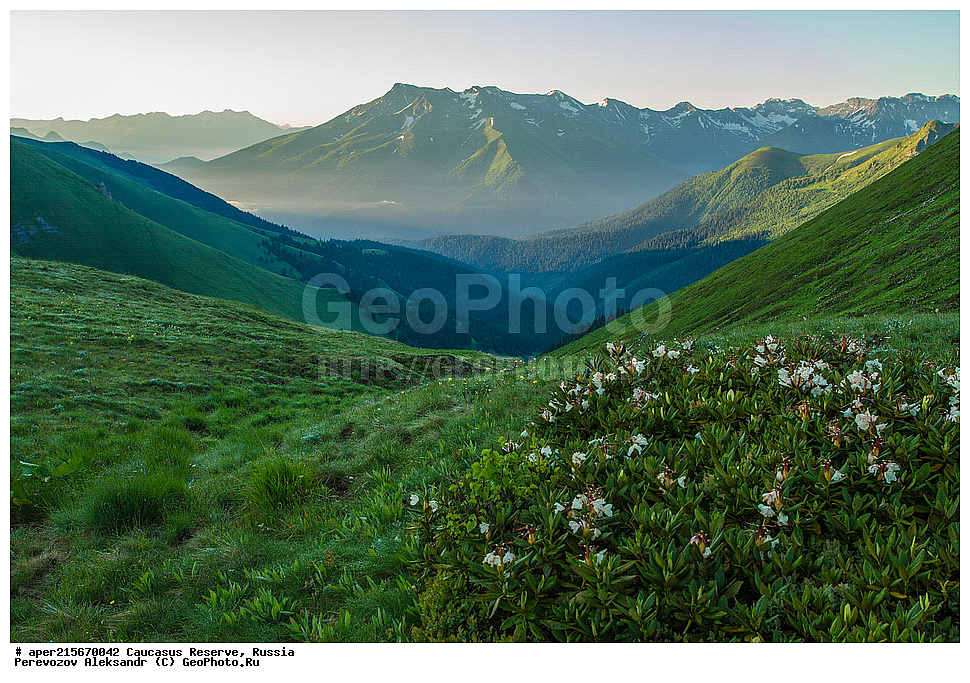 ������������� ����, ���������� ������, ���������-���������� ����������, ������, ���, ������, �������� ������, ������, ���������� ��������������� ����������, ���������� ��������������� ��������� ���������� ���������� ����� �. �. �����������, ���� �����, �������� ������, ���, ����