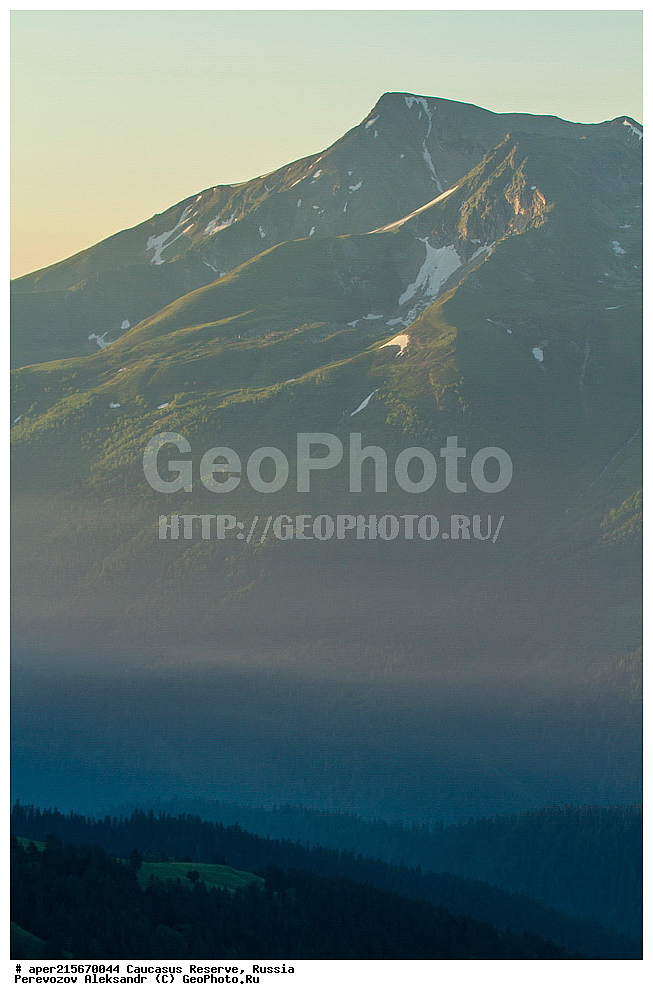 ������������� ����, ���������� ������, ���������-���������� ����������, ������, ���, ������, �������� ������, ������, ���������� ��������������� ����������, ���������� ��������������� ��������� ���������� ���������� ����� �. �. �����������, ���� �����, �������� ������, ���, ����