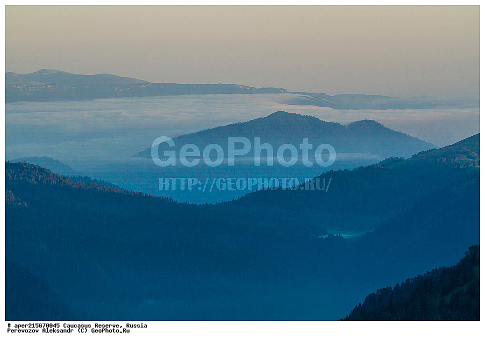 ������������� ����, ���������� ������, ���������-���������� ����������, ������, ���, ������, �������� ������, ������, ���������� ��������������� ����������, ���������� ��������������� ��������� ���������� ���������� ����� �. �. �����������, ���� �����, ��������, �������� ������, ���, ����