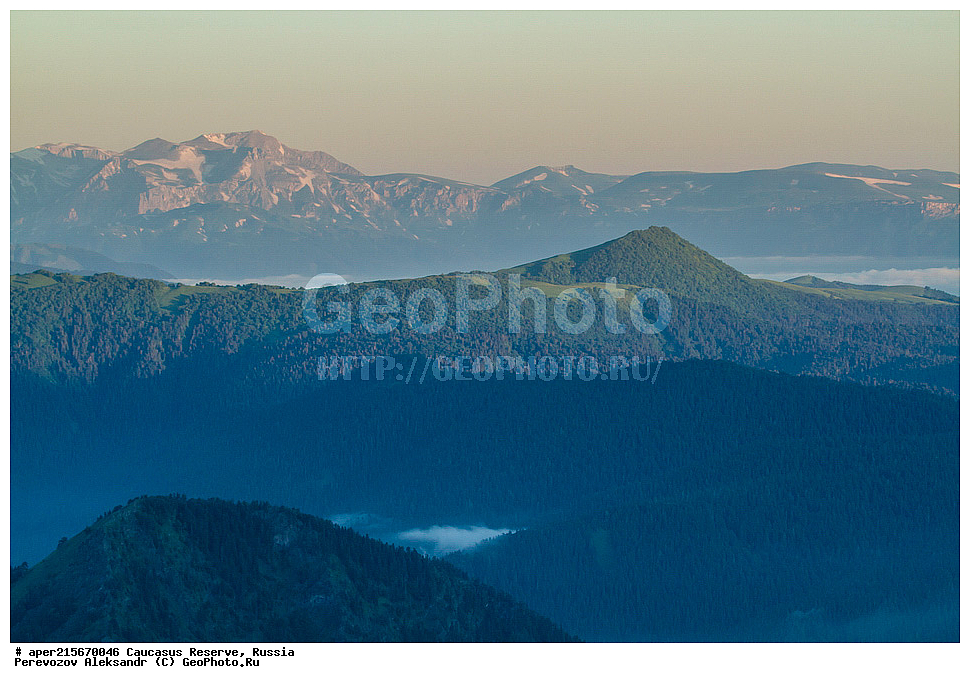 ������������� ����, ���������� ������, ���������-���������� ����������, ������, ���, ������, �������� ������, ������, ���������� ��������������� ����������, ���������� ��������������� ��������� ���������� ���������� ����� �. �. �����������, ����, �����. �����, �������� ������, ���, ����