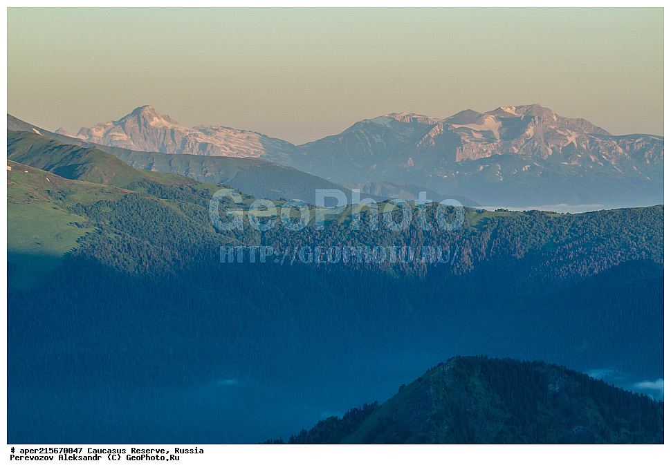 ������������� ����, ���������� ������, ���������-���������� ����������, ������, ���, ������, �������� ������, ������, ���������� ��������������� ����������, ���������� ��������������� ��������� ���������� ���������� ����� �. �. �����������, ����, �����. �����, �������� ������, ���, ����