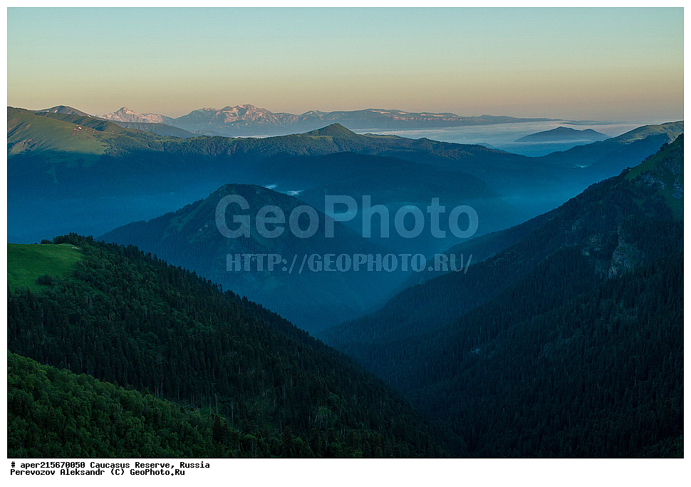 ������������� ����, ���������� ������, ���������-���������� ����������, ������, ���, ������, �������� ������, ������, ���������� ��������������� ����������, ���������� ��������������� ��������� ���������� ���������� ����� �. �. �����������, ����, �����. �����, �������� ������, ���, ����