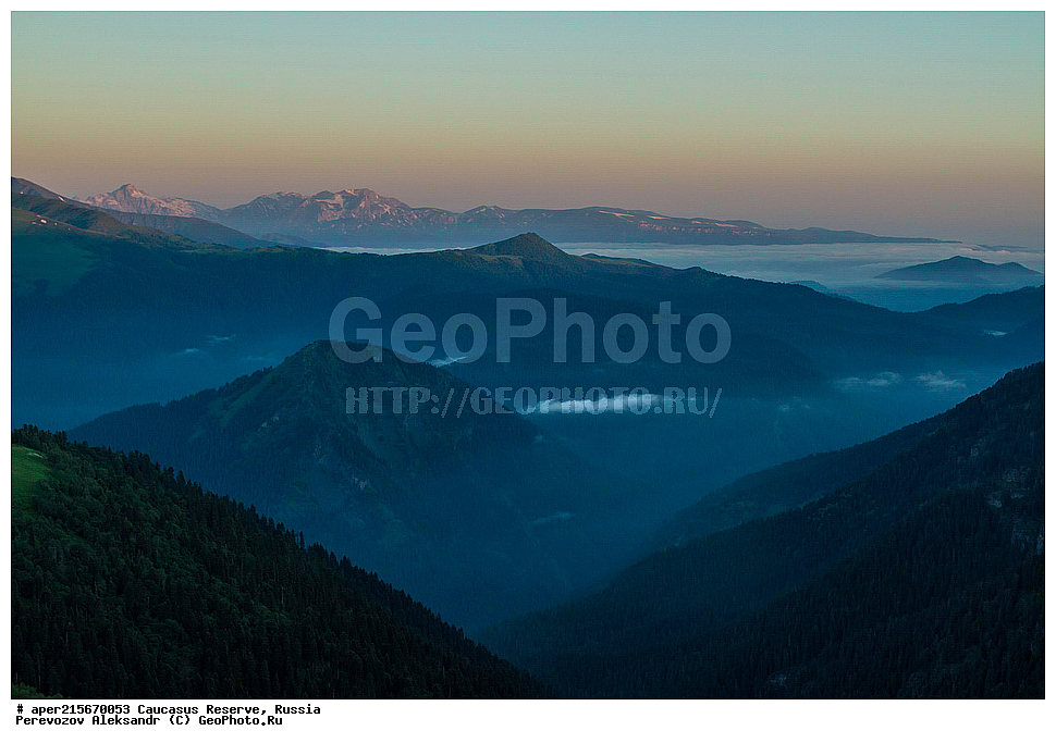 ������������� ����, ���������� ������, ���������-���������� ����������, ������, ���, ������, �������� ������, ������, ���������� ��������������� ����������, ���������� ��������������� ��������� ���������� ���������� ����� �. �. �����������, ����, �����. �����, �������� ������, ���, ����