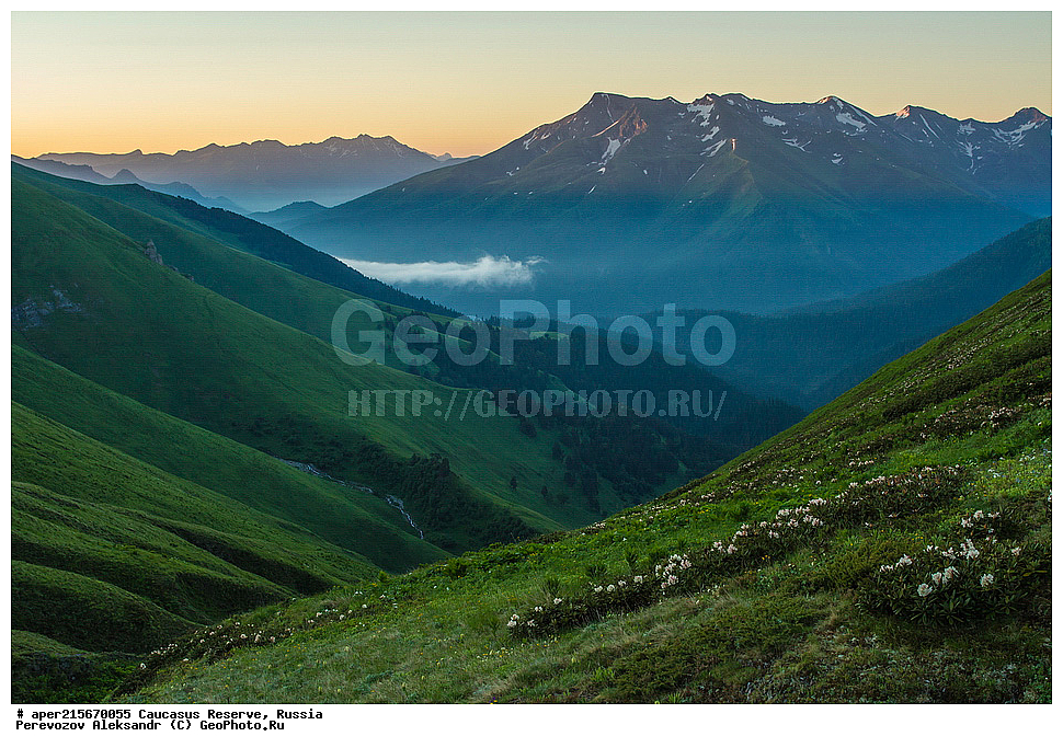 ������������� ����, ���������� ������, ���������-���������� ����������, ������, ���, ������, �������� ������, ������, ���������� ��������������� ����������, ���������� ��������������� ��������� ���������� ���������� ����� �. �. �����������, ���� �����, �������� ������, ���, ����