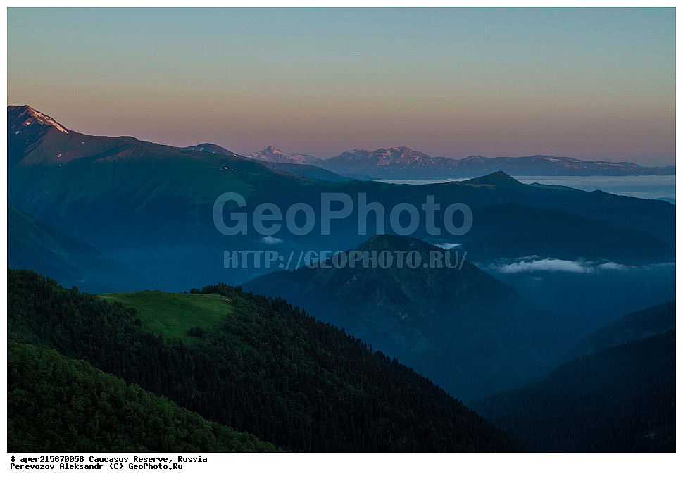 ������������� ����, ���������� ������, ���������-���������� ����������, ������, ���, ������, �������� ������, ������, ���������� ��������������� ����������, ���������� ��������������� ��������� ���������� ���������� ����� �. �. �����������, ����, �����. �����, �������� ������, ���, ����