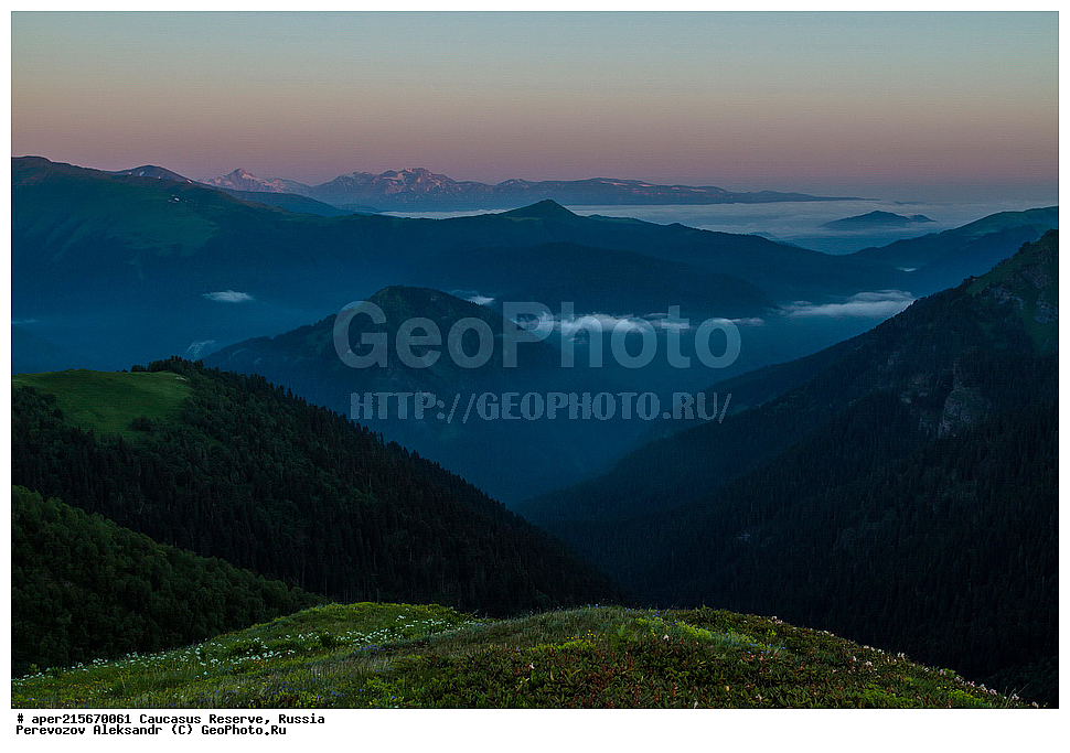 ������������� ����, ���������� ������, ���������-���������� ����������, ������, ���, ������, �������� ������, ������, ���������� ��������������� ����������, ���������� ��������������� ��������� ���������� ���������� ����� �. �. �����������, ����, �����. �����, �������� ������, ���, ����