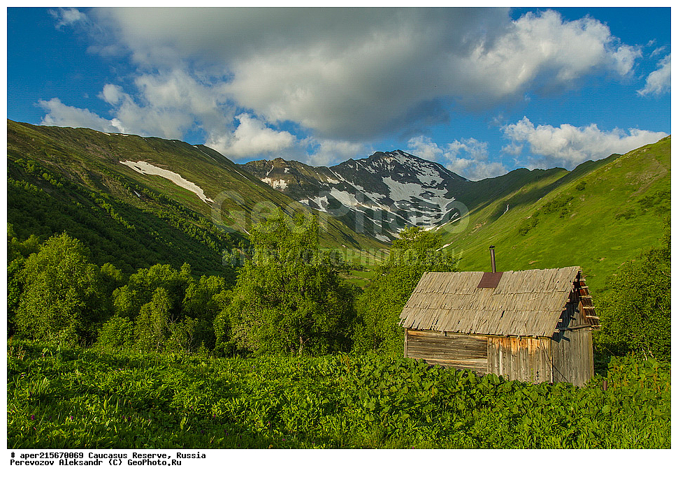 ������������� ����, ���������� ������, ���������-���������� ����������, ������, ���, ������, �������� ������, ������, ���������� ��������������� ����������, ���������� ��������������� ��������� ���������� ���������� ����� �. �. �����������, ��������������, ������, ������� �����, ����