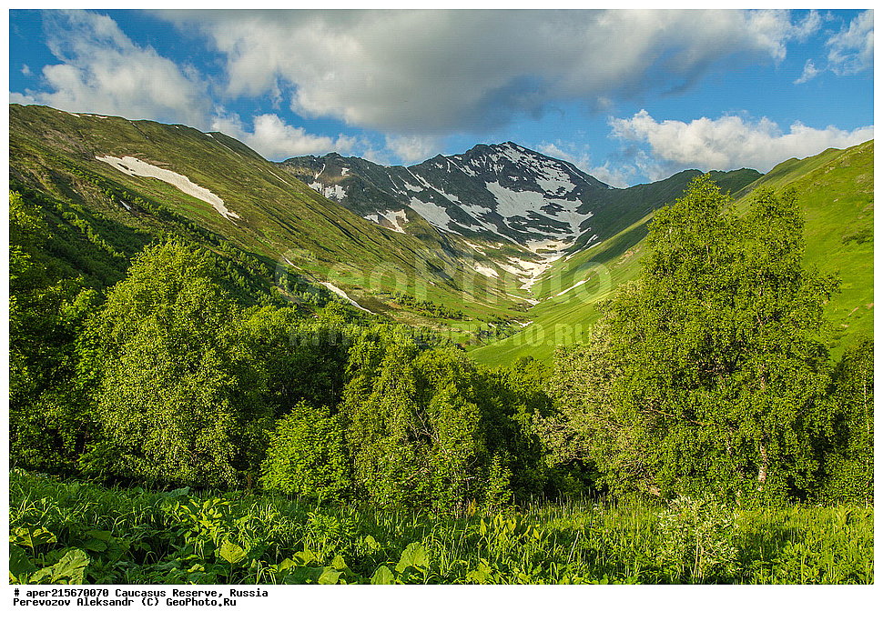 ������������� ����, ���������� ������, ���������-���������� ����������, ������, ���, ������, �������� ������, ������, ���������� ��������������� ����������, ���������� ��������������� ��������� ���������� ���������� ����� �. �. �����������, ����, �����, �������, ����