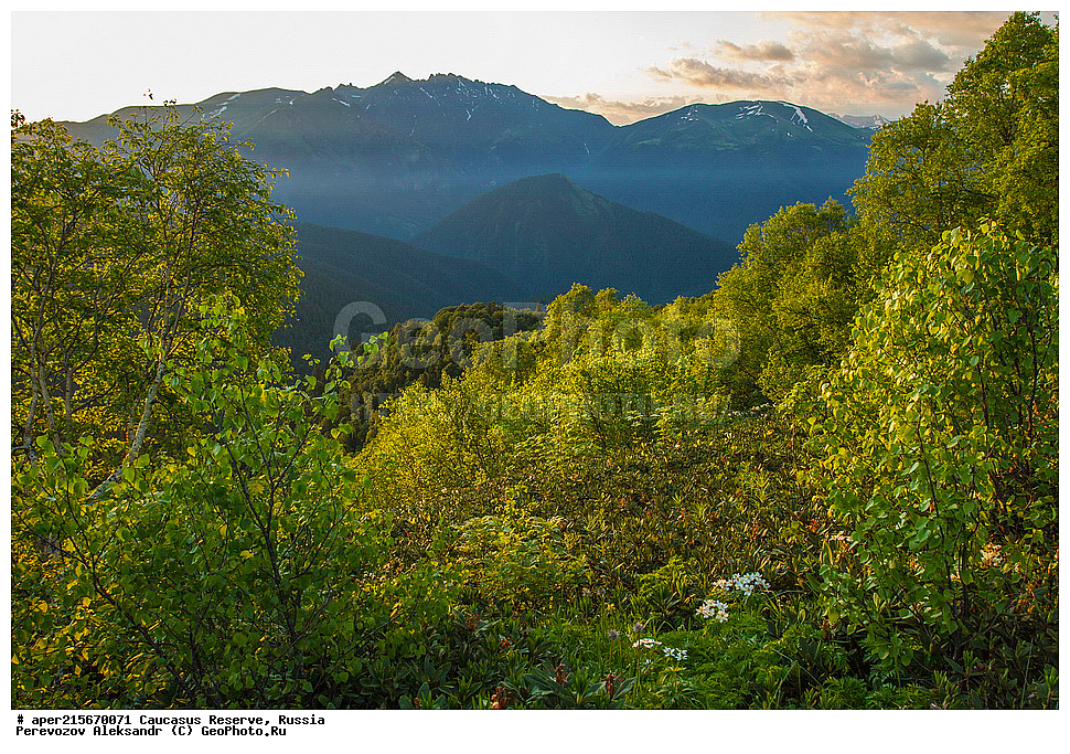 ������������� ����, ���������� ������, ���������-���������� ����������, ������, ���, ������, �������� ������, ������, ���������� ��������������� ����������, ���������� ��������������� ��������� ���������� ���������� ����� �. �. �����������, ���� �����, �����, ����