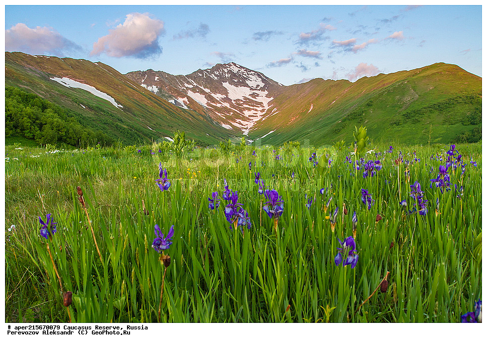 ������������� ����, ���������� ������, ���������-���������� ����������, ������, ���, ������, �������� ������, ������, ���������� ��������������� ����������, ���������� ��������������� ��������� ���������� ���������� ����� �. �. �����������, ����, �����, �������, ����