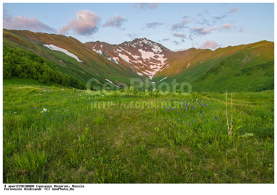 ������������� ����, ���������� ������, ���������-���������� ����������, ������, ���, ������, �������� ������, ������, ���������� ��������������� ����������, ���������� ��������������� ��������� ���������� ���������� ����� �. �. �����������, ����, �����, �������, ����