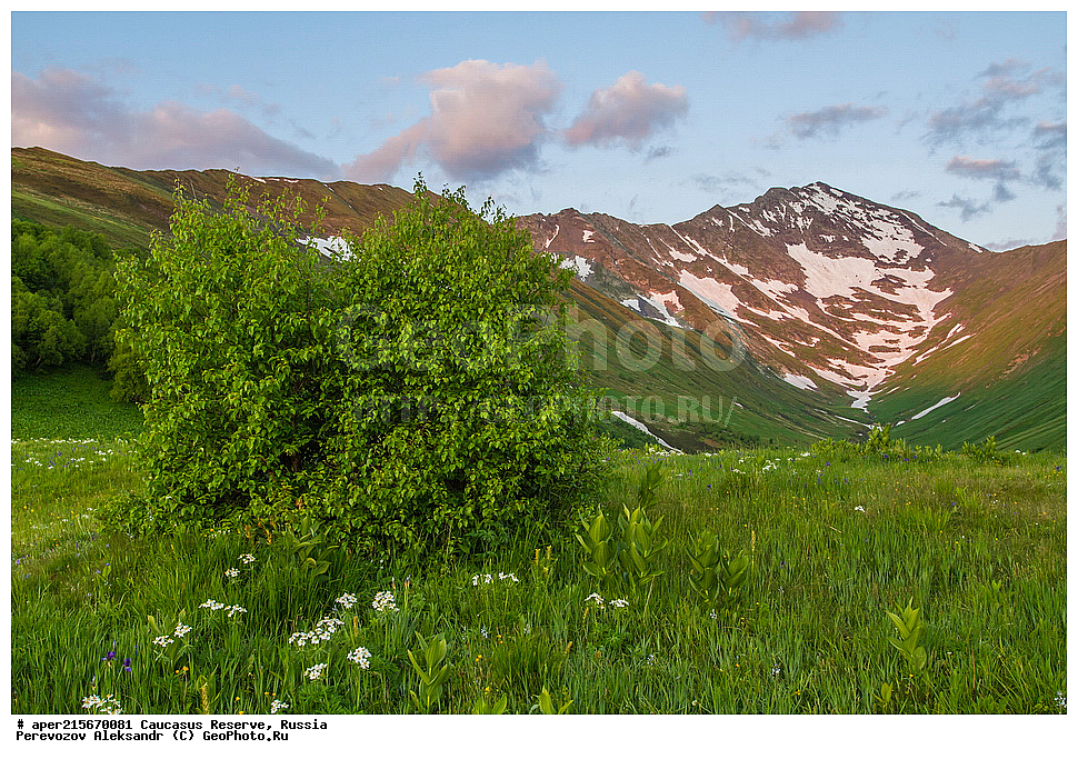 ������������� ����, ���������� ������, ���������-���������� ����������, ������, ���, ������, �������� ������, ������, ���������� ��������������� ����������, ���������� ��������������� ��������� ���������� ���������� ����� �. �. �����������, ����, �����, �������, ����