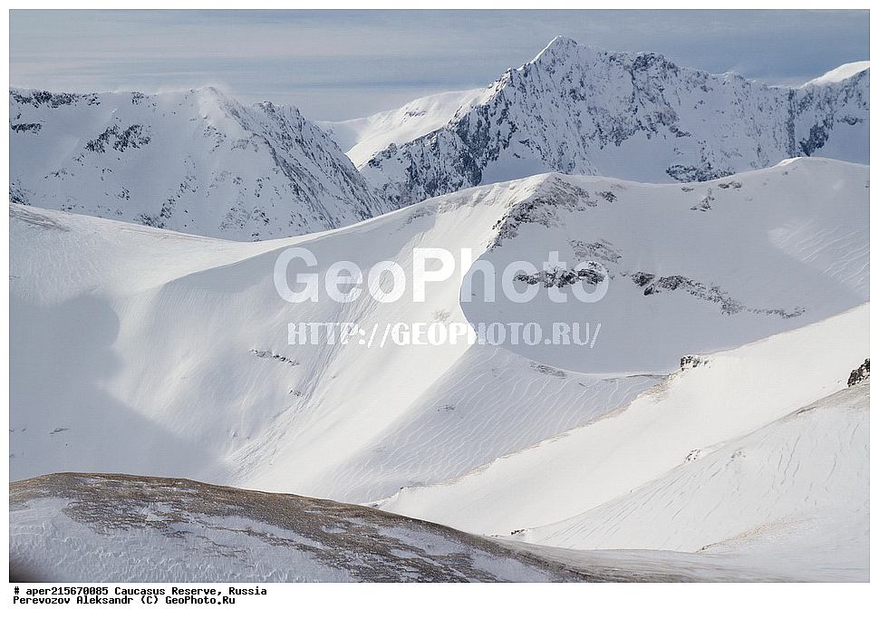 ������������� ����, ���������� ������, ���������-���������� ����������, ������, ���, ������, �������� ������, ���������� ��������������� ����������, ���������� ��������������� ��������� ���������� ���������� ����� �. �. �����������, �������, ���, ��������, ����, ������, ������