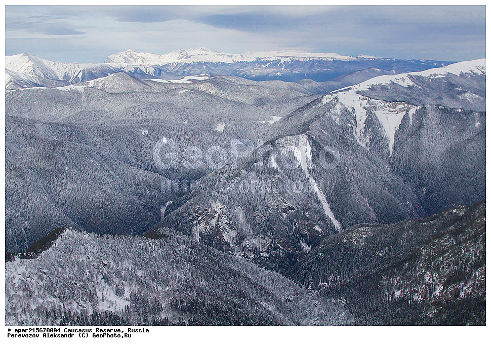 ������������� ����, ���������� ������, ���������-���������� ����������, ������, ���, ������, �������� ������, ���������� ��������������� ����������, ���������� ��������������� ��������� ���������� ���������� ����� �. �. �����������, ������, ���, ��������, ����, ������, ������