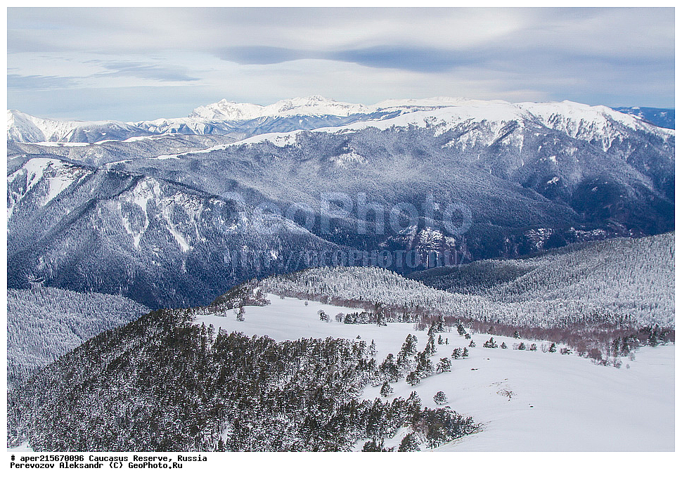 ������������� ����, ���������� ������, ���������-���������� ����������, ������, ���, ������, �������� ������, ���������� ��������������� ����������, ���������� ��������������� ��������� ���������� ���������� ����� �. �. �����������, ������, ���, ��������, ����, ������, ������