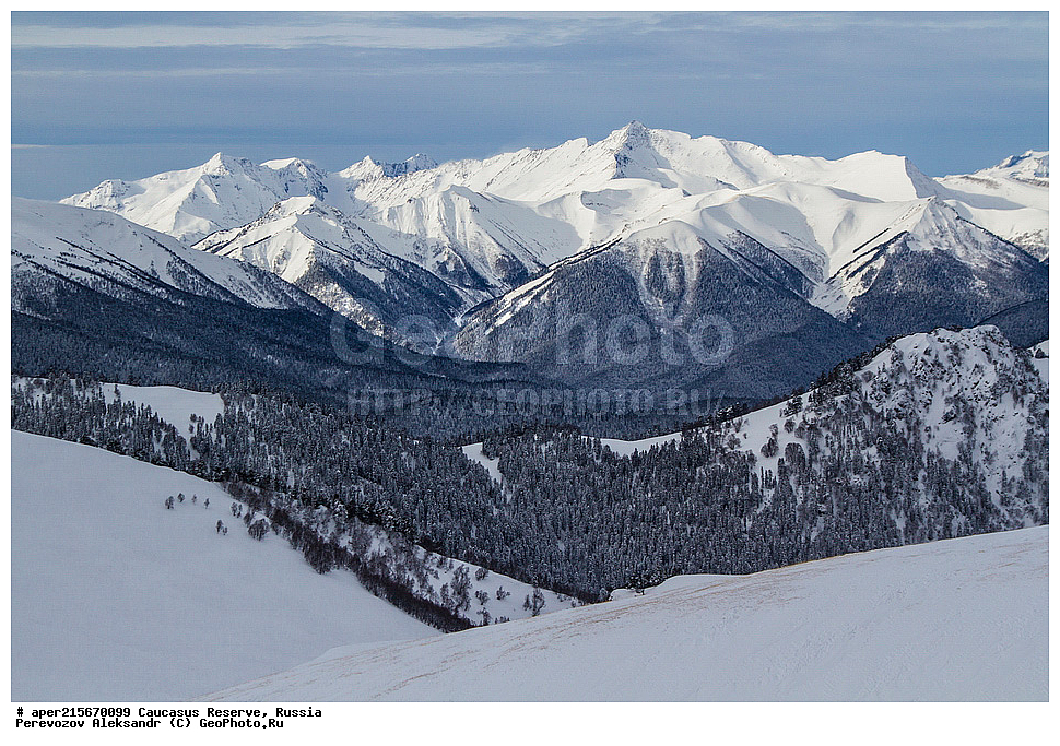 ������������� ����, ���������� ������, ���������-���������� ����������, ������, ���, ������, �������� ������, ���������� ��������������� ����������, ���������� ��������������� ��������� ���������� ���������� ����� �. �. �����������, �������, ���, ��������, ����, ������, ������